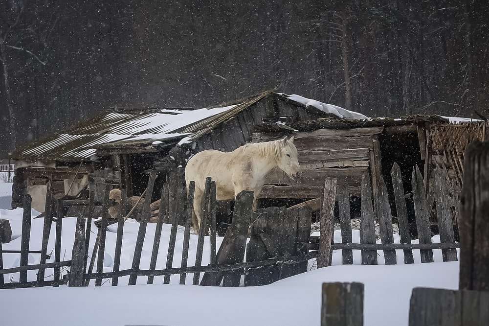 деревня Ржавец, Татарстан