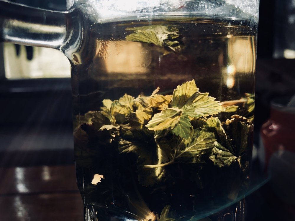 Photograph by Elvira