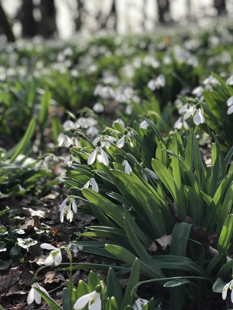 Photograph by Аметка Эдем