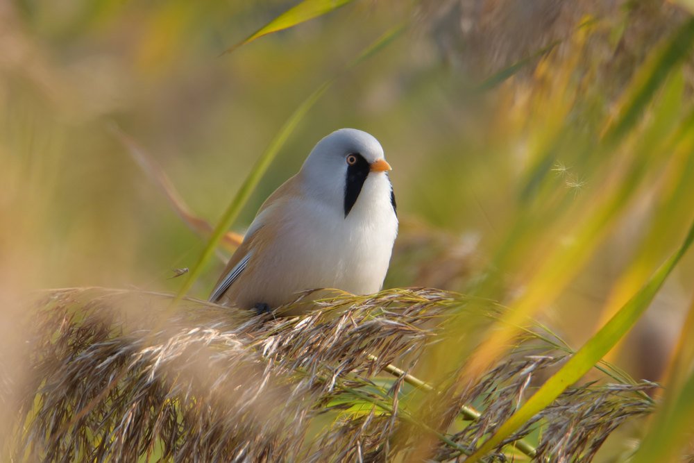 Photograph by Чернобай Анна