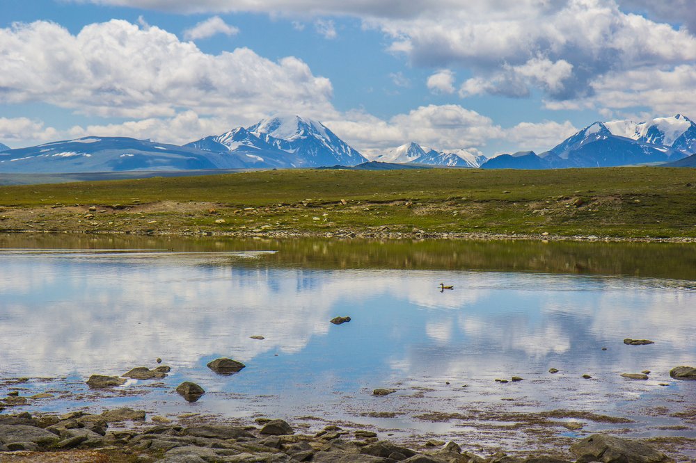 Photograph by Елена Гребенникова