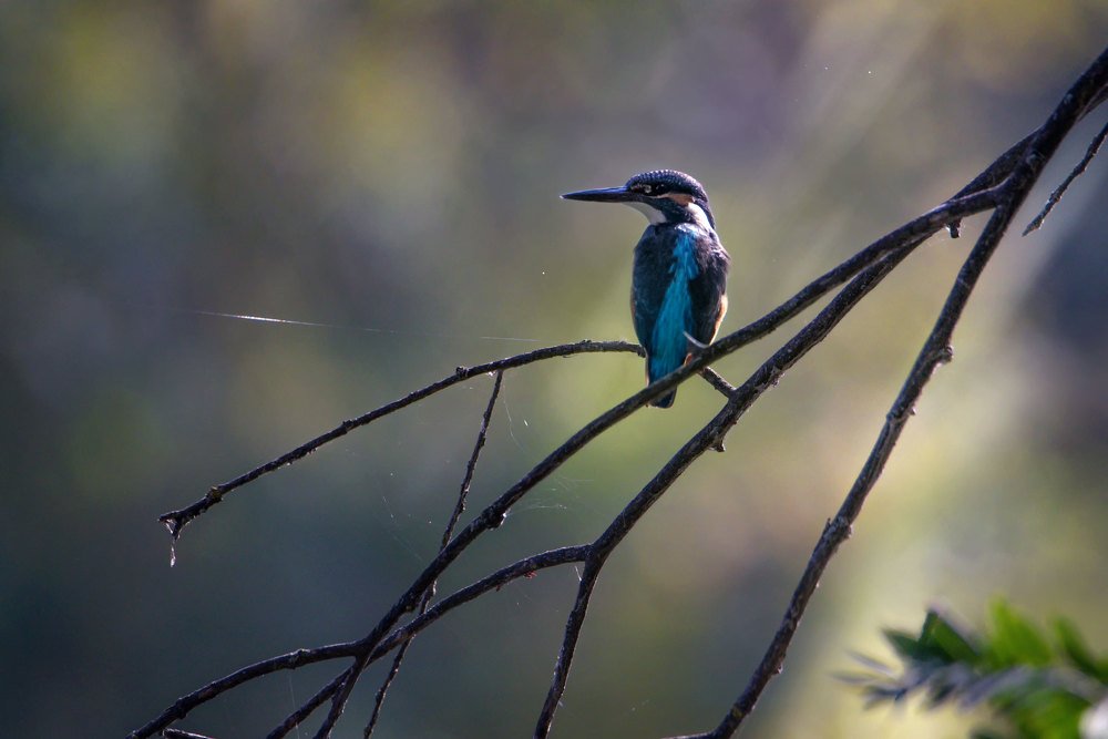 Photograph by Чернобай Анна