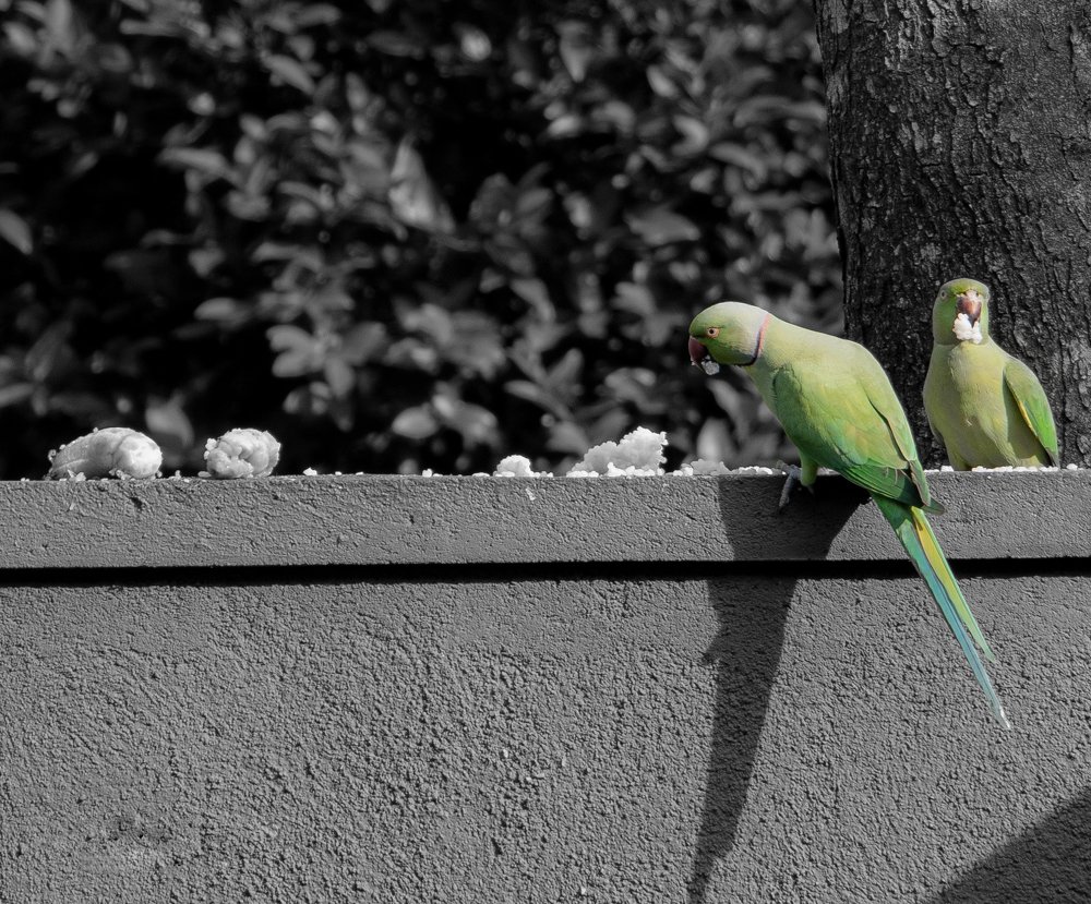 Photograph by Dasmitha Gunasekara