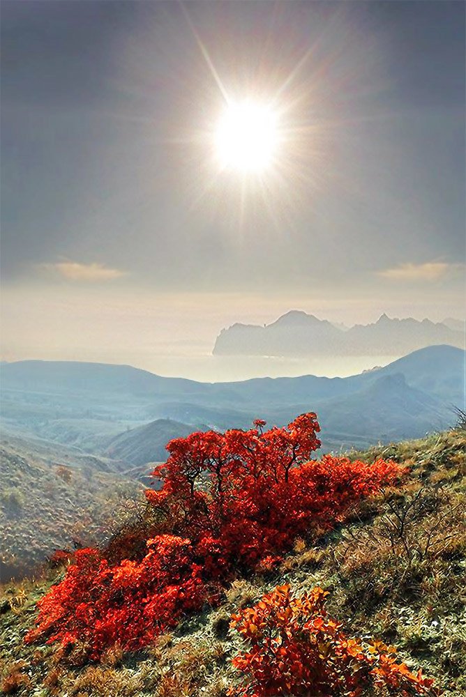 Photograph by Виктор