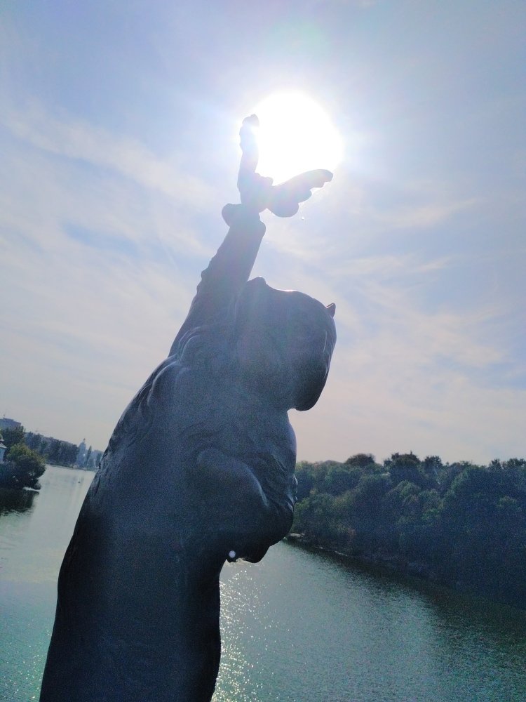 Photograph by Поддубняк Наталья