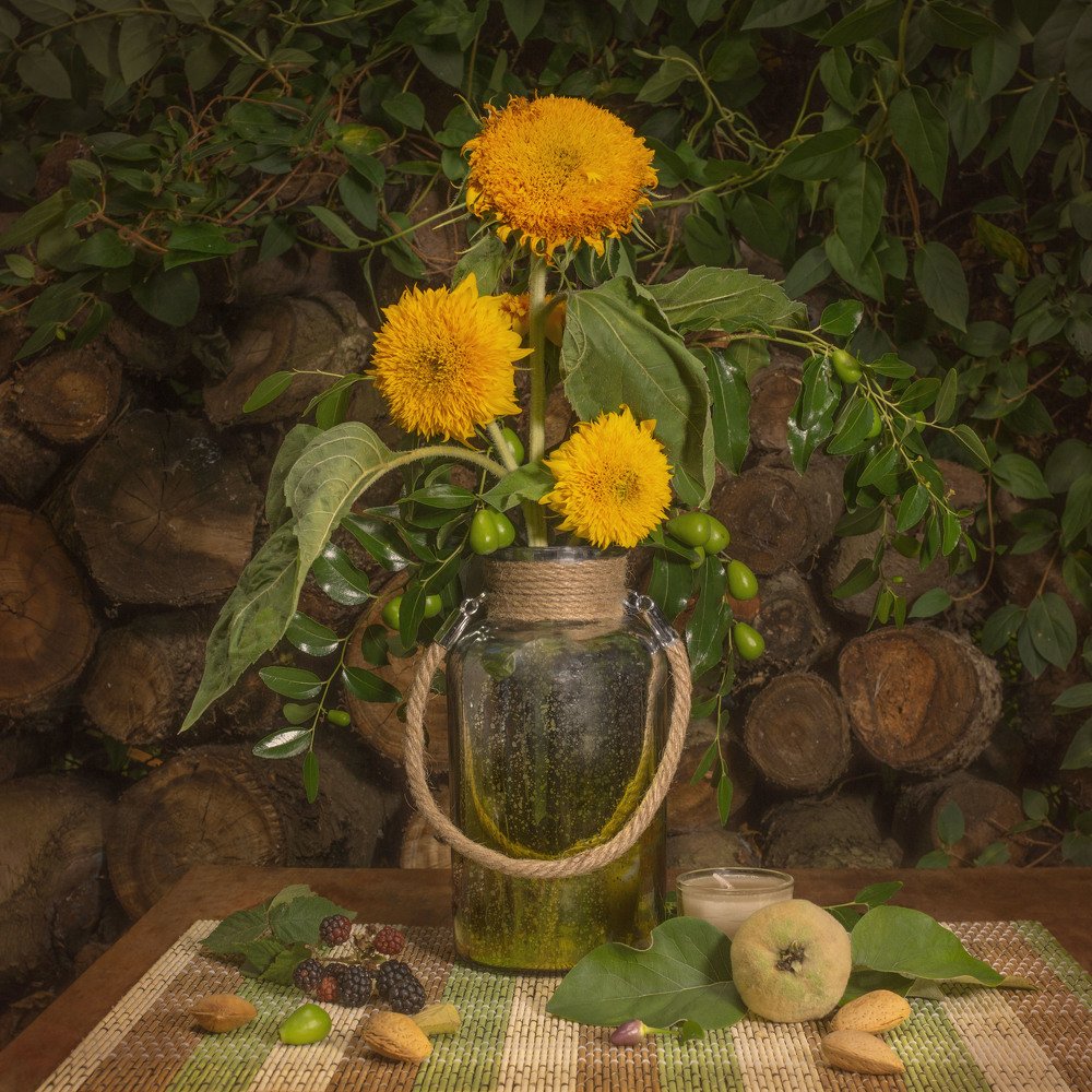 Фотография автора Светлана Острая