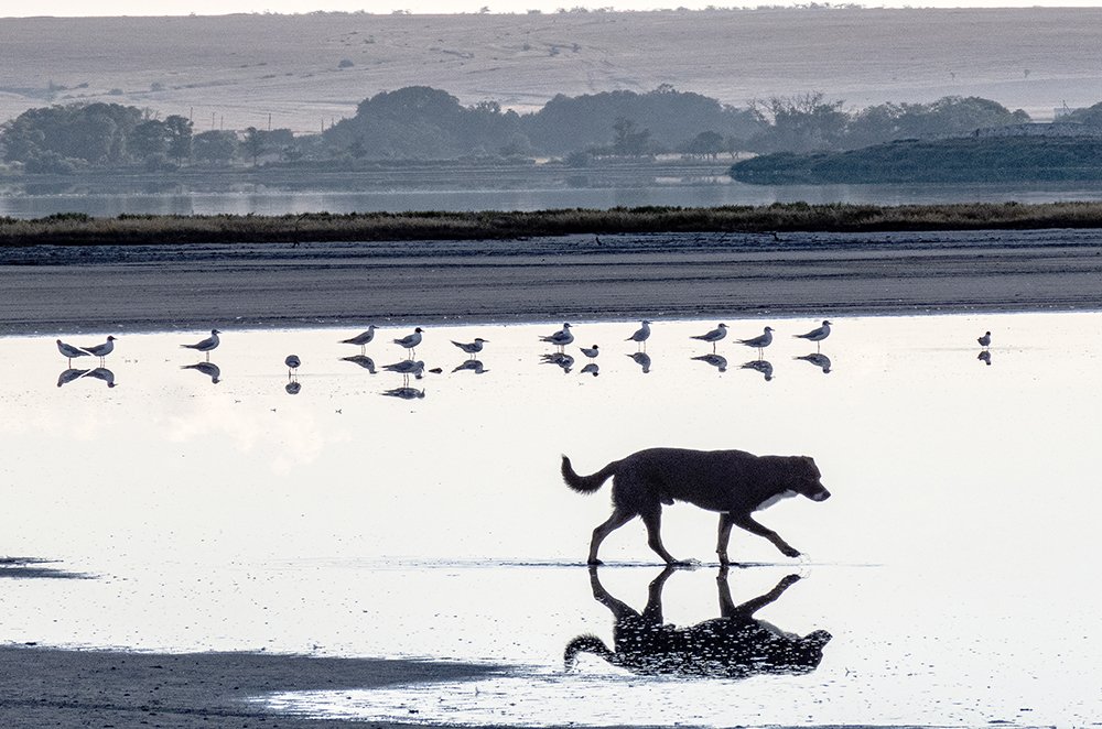 Photograph by Дмитрий Гаварилюк