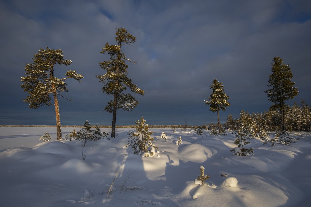 Озеро Окунево