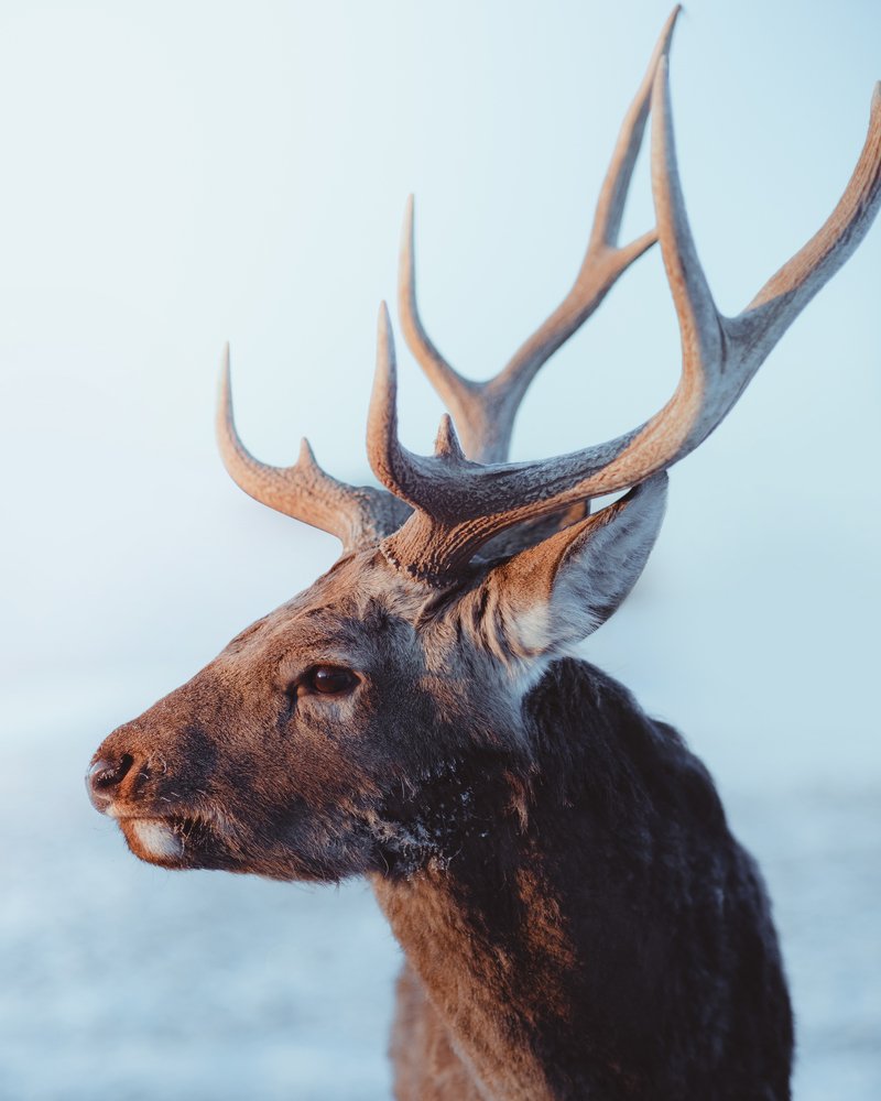 Photograph by Алексей Соколенко