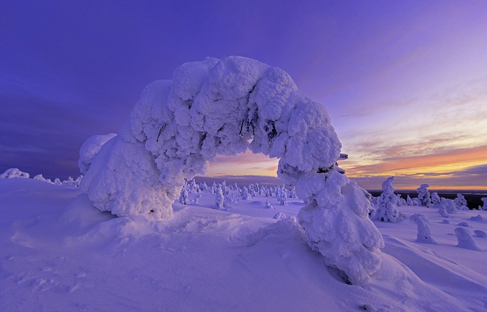 Поклон зимней Лапландии.
