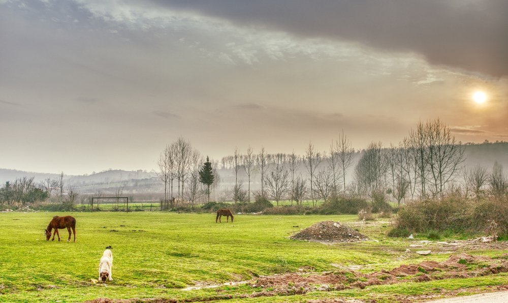 Фотография автора Pejman Sadeghzadeh