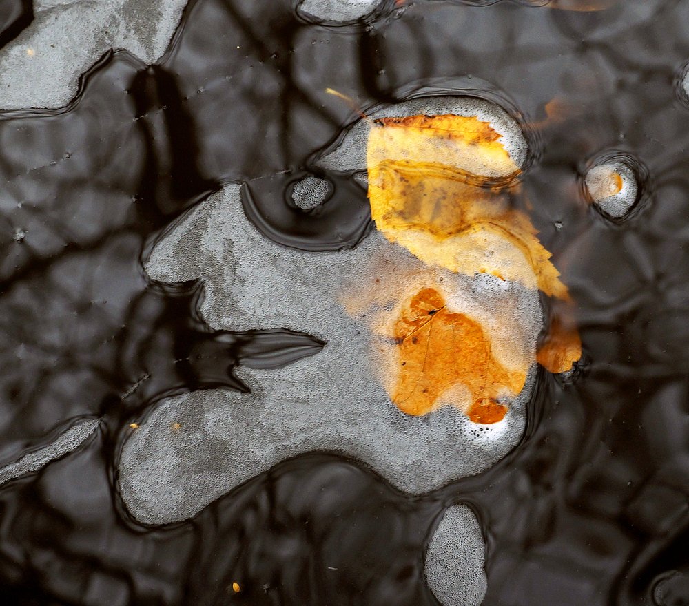 Photograph by ПОЛУЕВ ИЛЬЯ