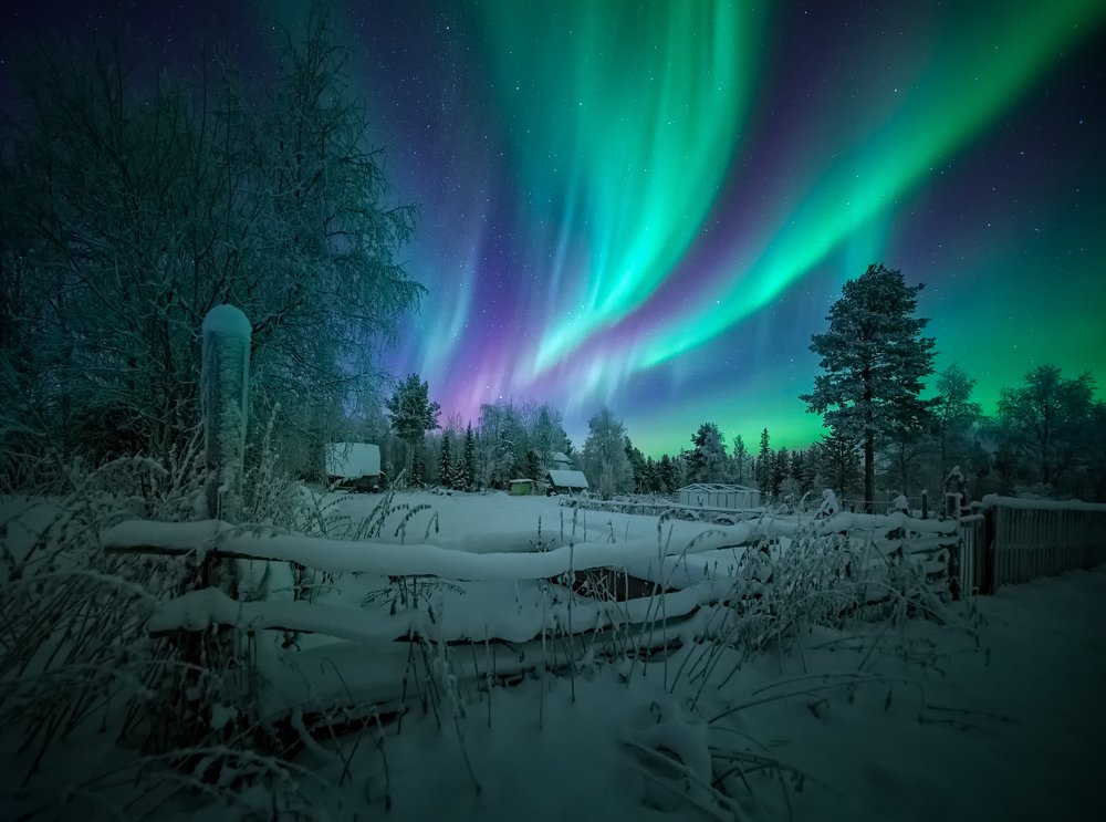 Photograph by Олег Семенкевич