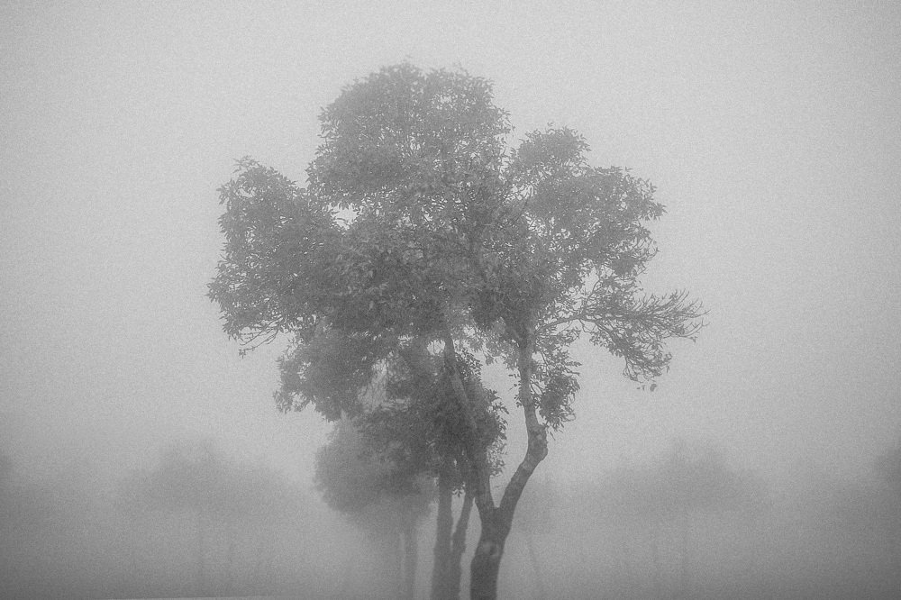 Photograph by iman majidi