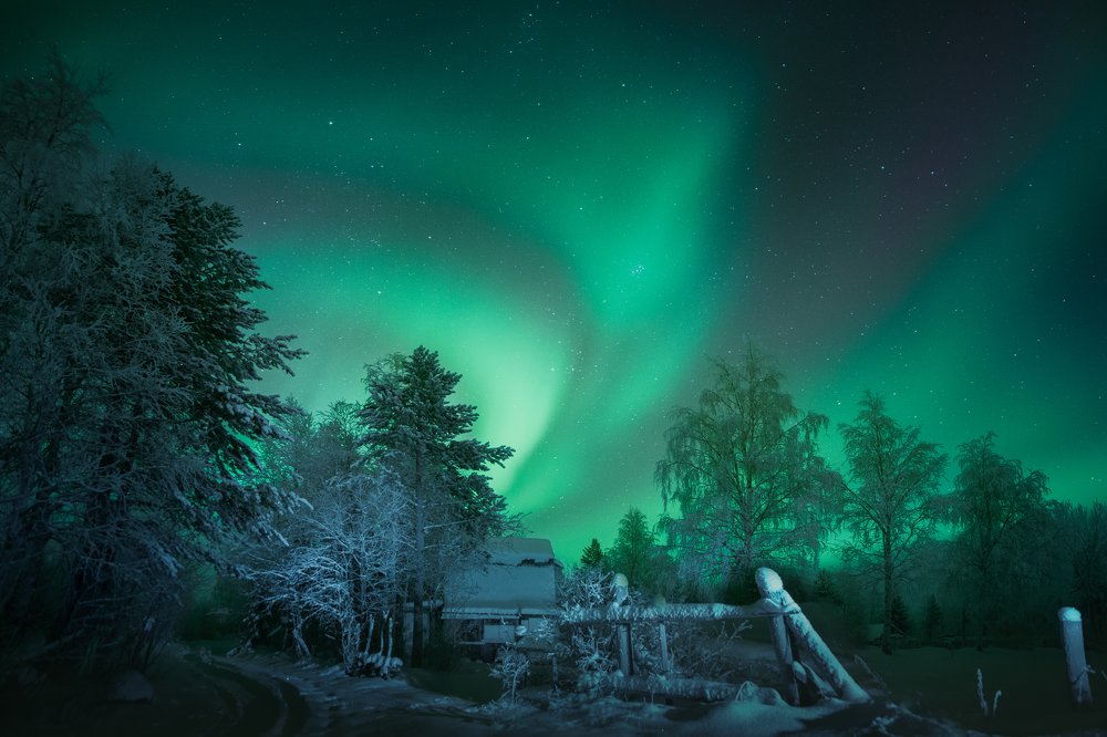 Photograph by Олег Семенкевич