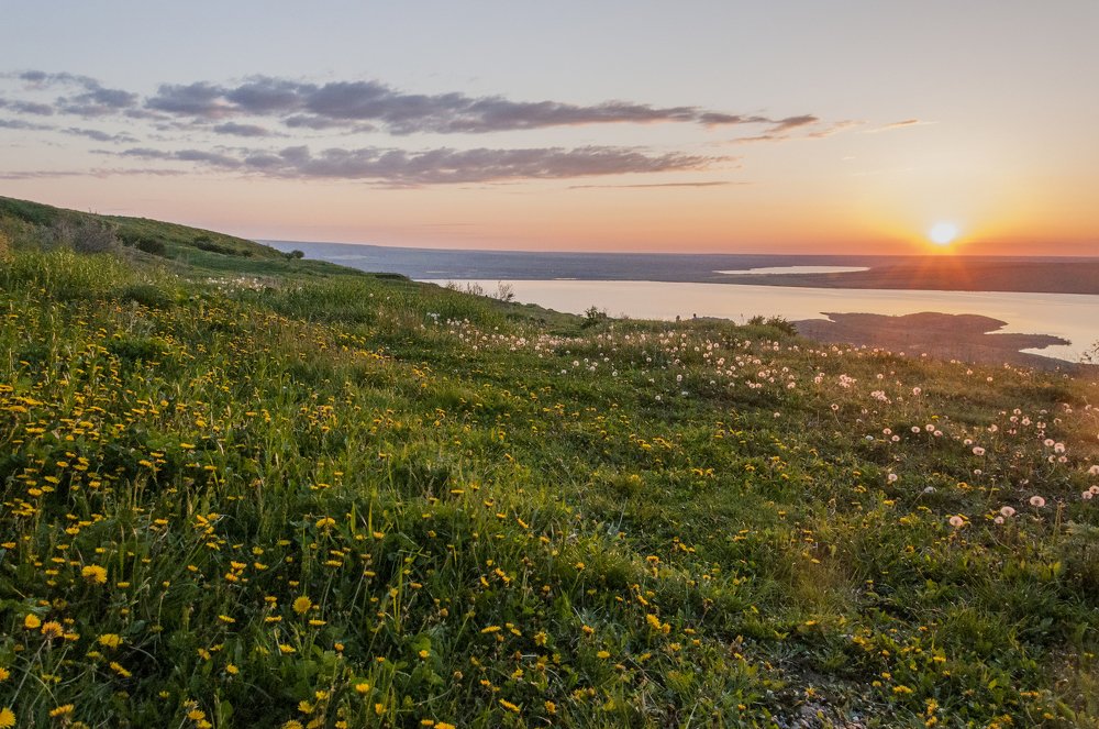 Photograph by Мария Аладьина