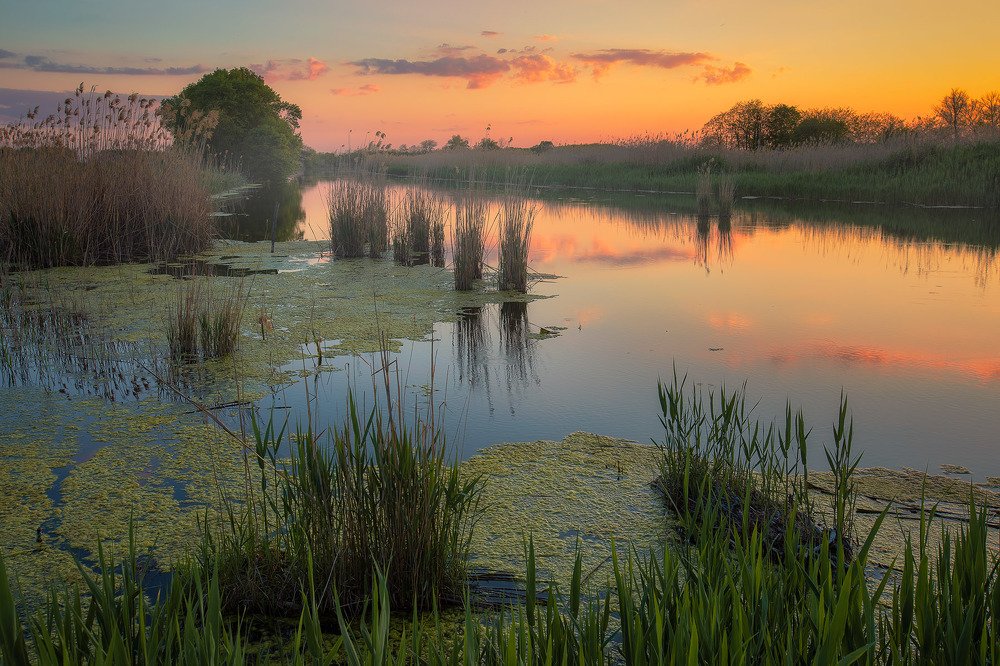 Photograph by Александр Костенко