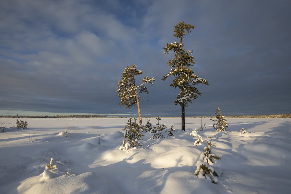 У зимнего озера