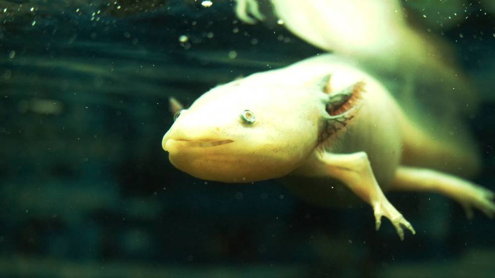 Photograph by Иван Кирилков