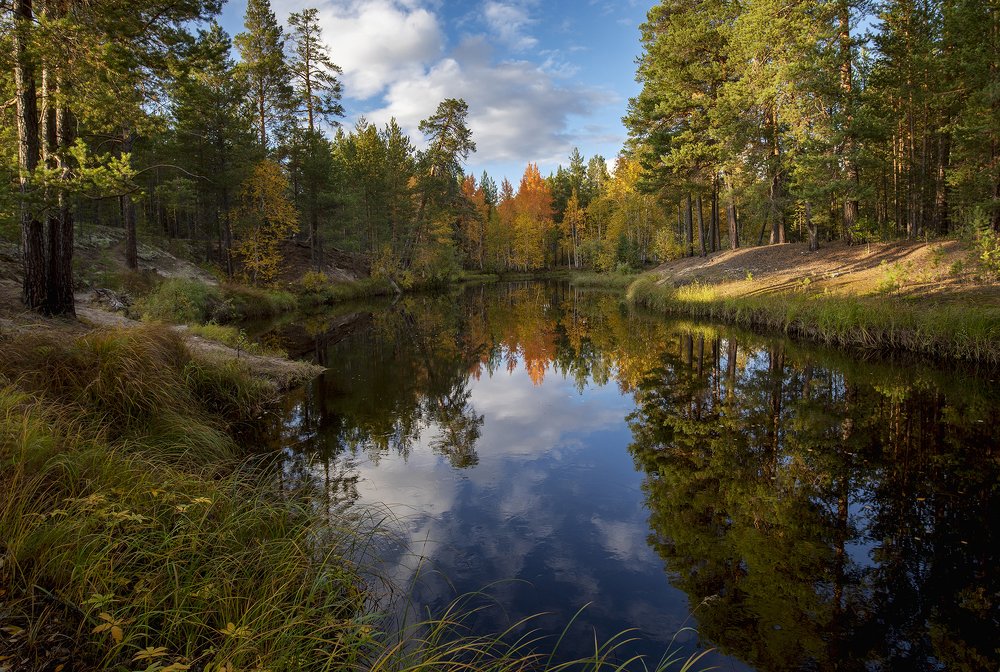 Таежная речка