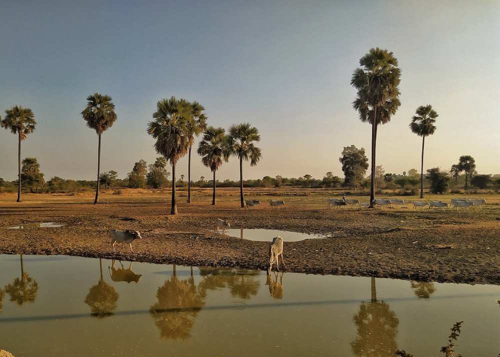 Photograph by Aung Zaw Min