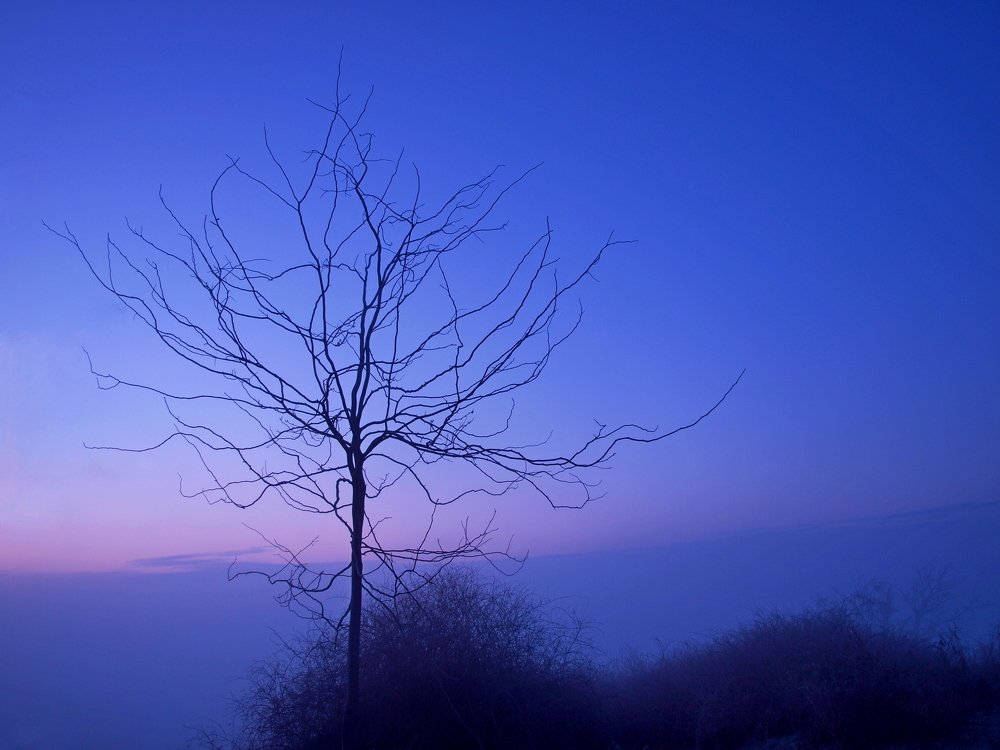 Photograph by Александр Петренко