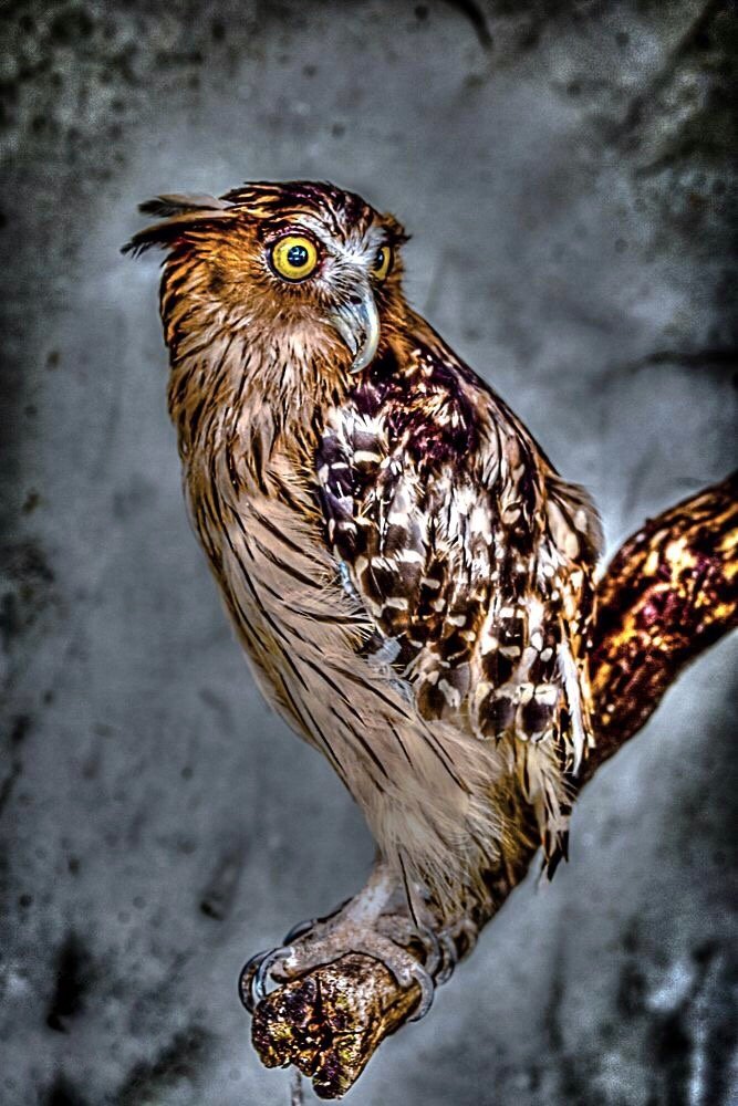 Photograph by Anas Fathi