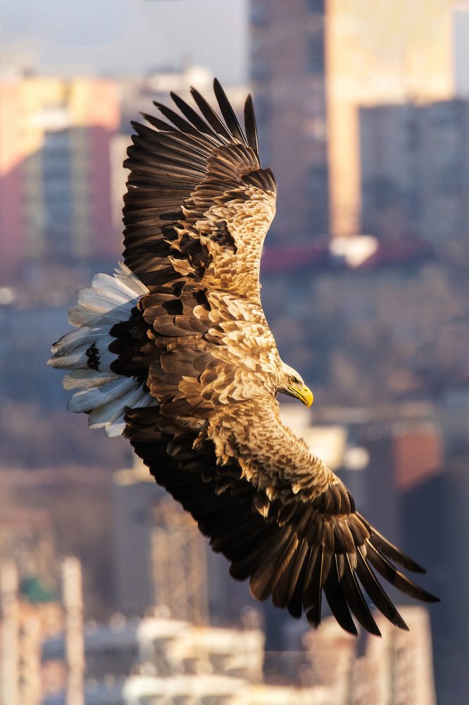 Photograph by Иван Боровков