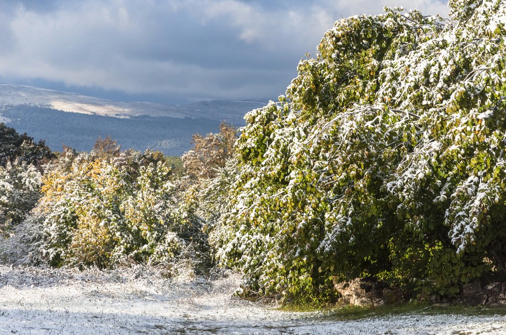 Photograph by Мария Аладьина