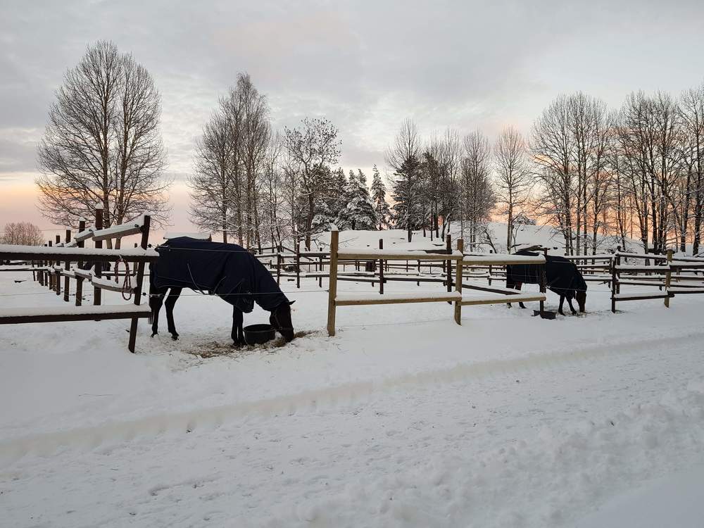 Photograph by Betania María Gudiño Arrocha