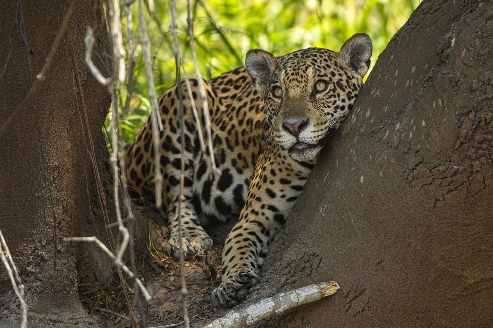 Photograph by Александр Маркелов