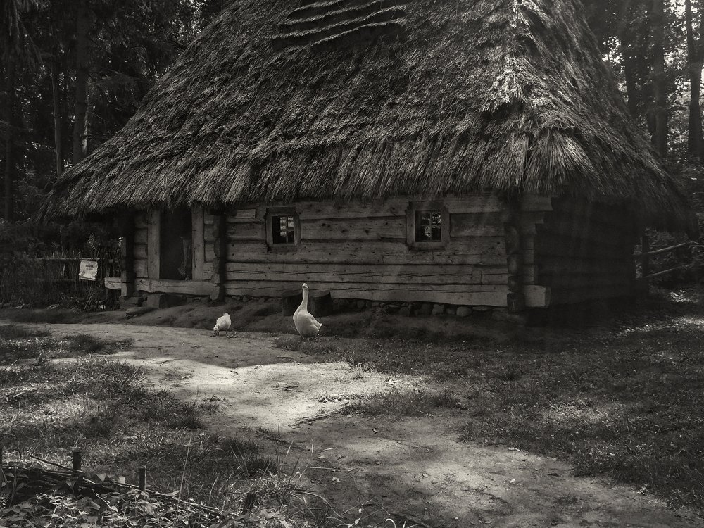 Деревенская идиллия