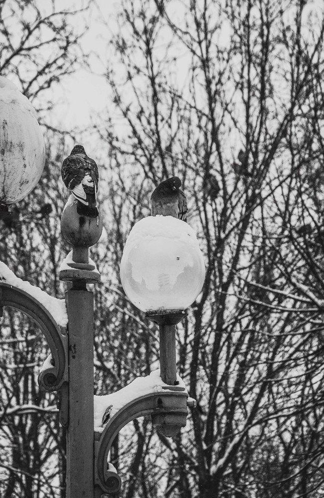 Photograph by Егор Корнилов