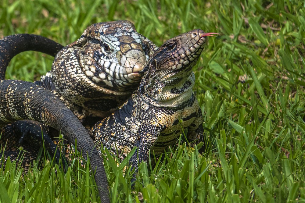 Photograph by Александр Маркелов