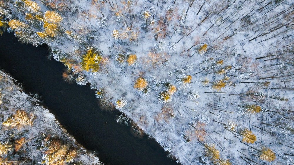 Photograph by Наталья