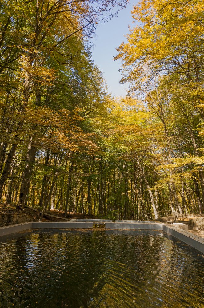 Photograph by Мария Аладьина