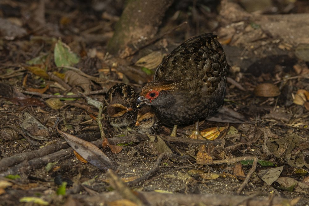 Photograph by Александр Маркелов