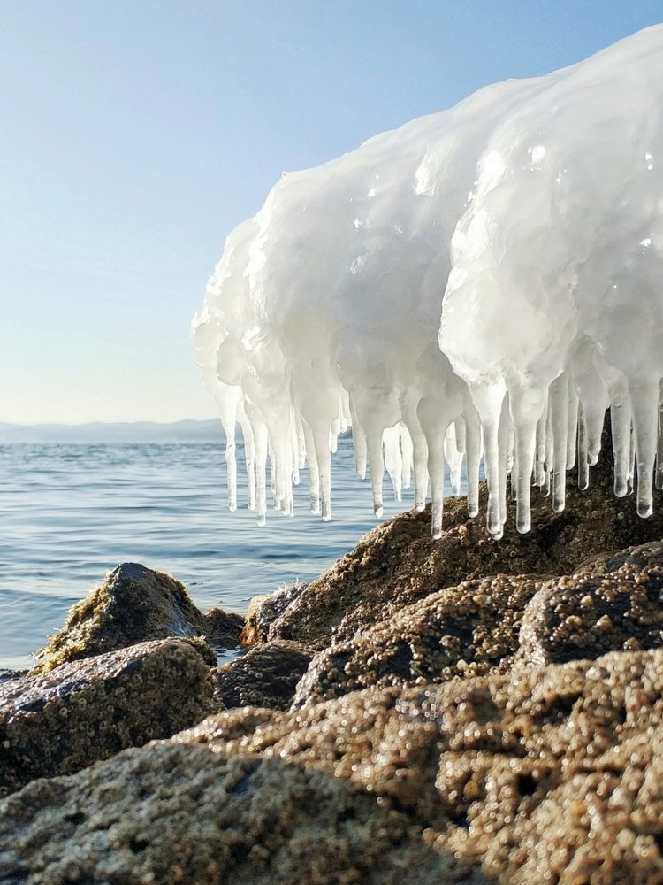 Капли льда / Drops of ice