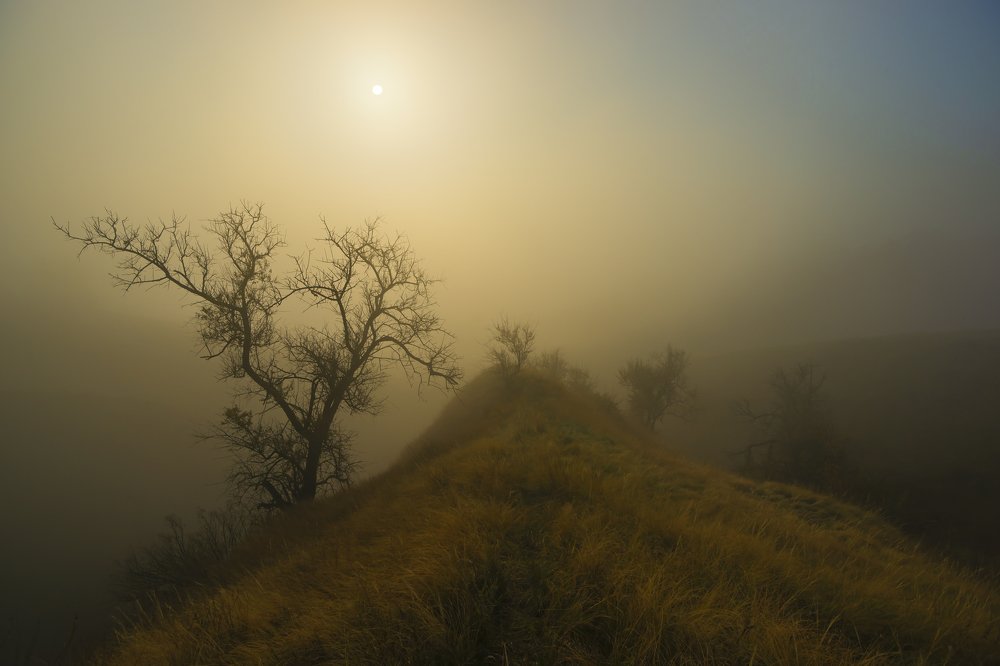 Photograph by Игорь