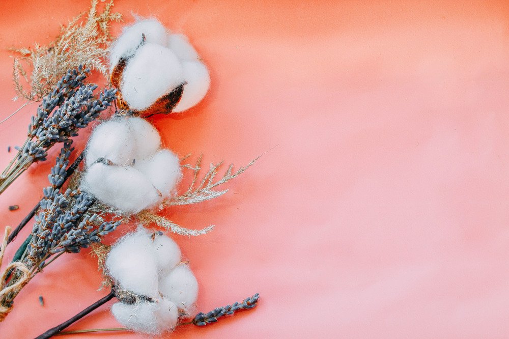 Photograph by Дарья Суслова