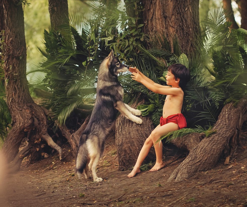 Фотография автора Алла Никитина