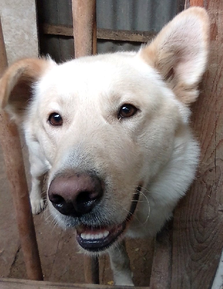 Мой любимка