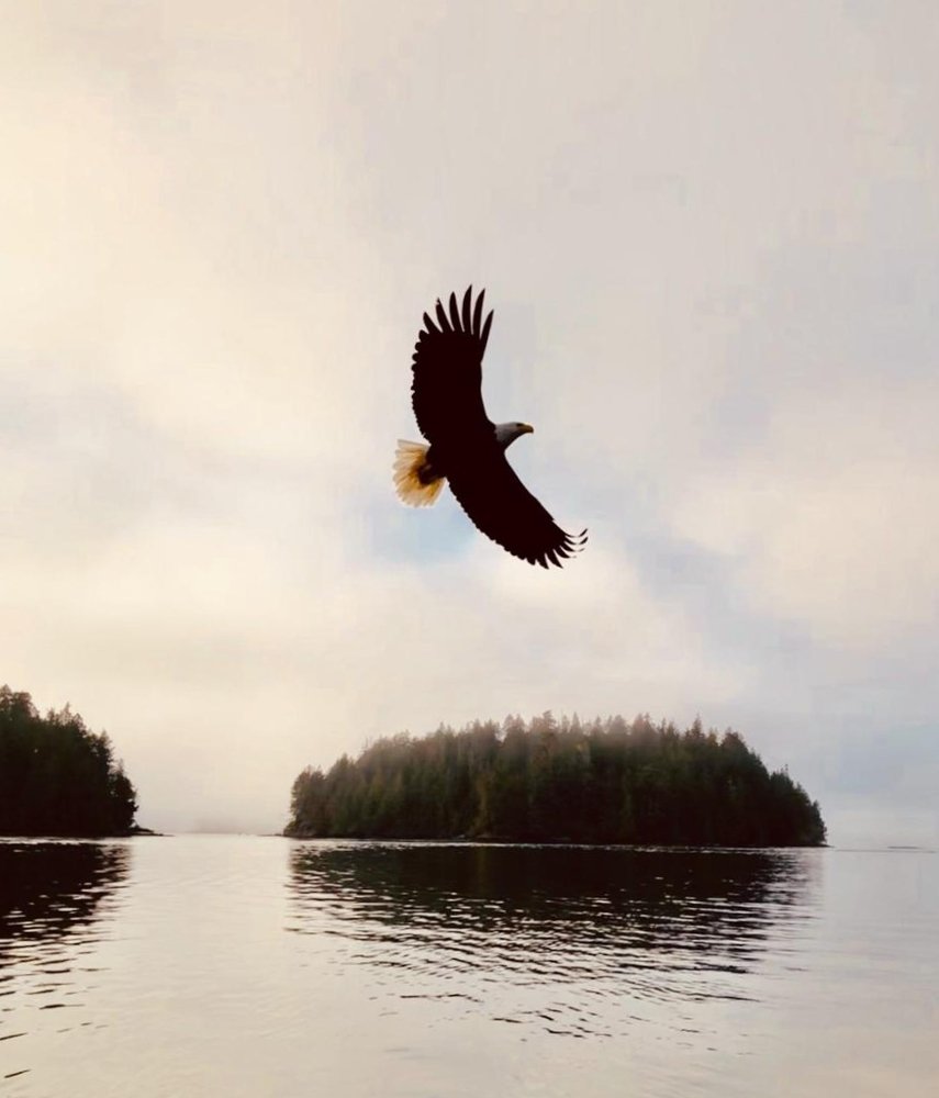 We must be like eagles.