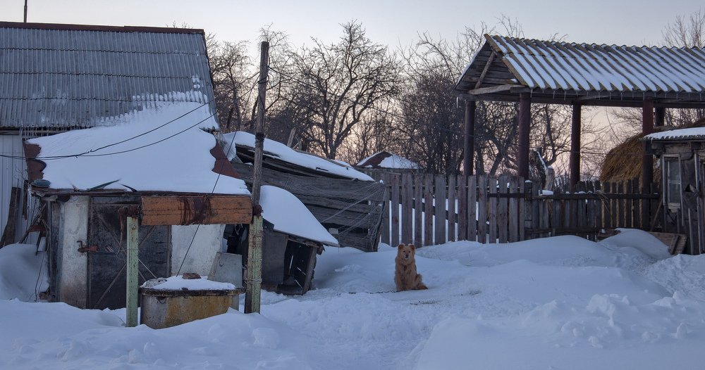 Здесь время остановилось или Верный сторож