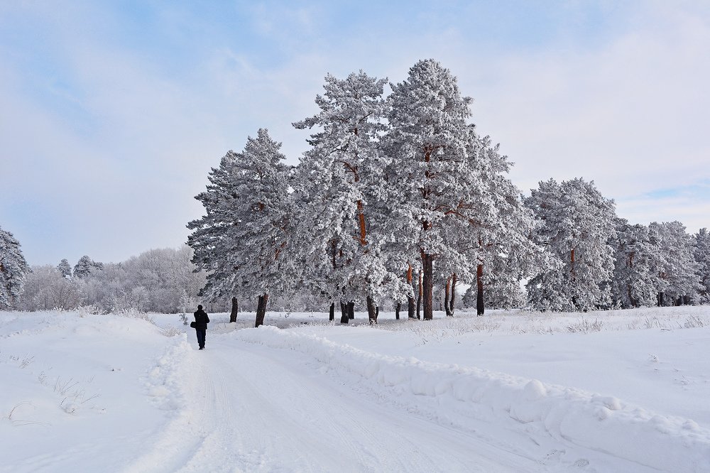 Photograph by Irina Nazarova