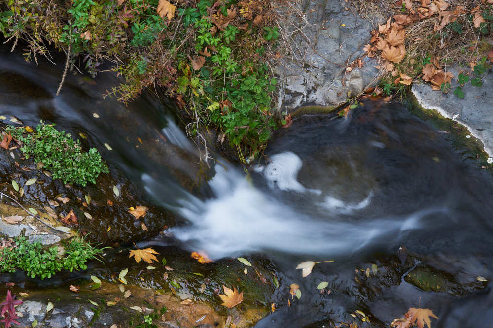 Фотография автора Anton Radtsevich