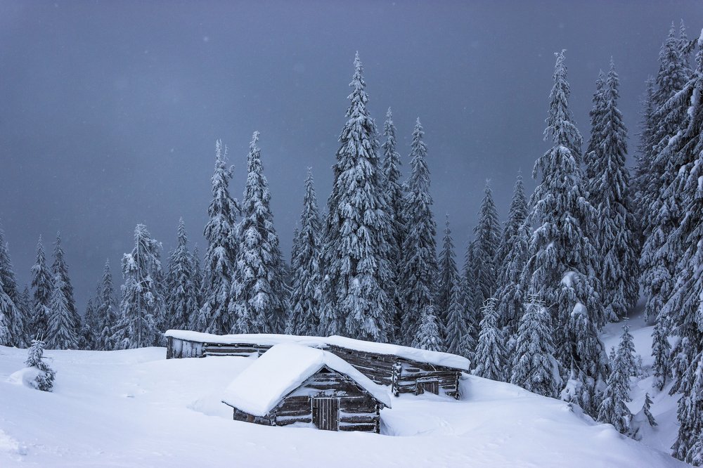 Photograph by Victor