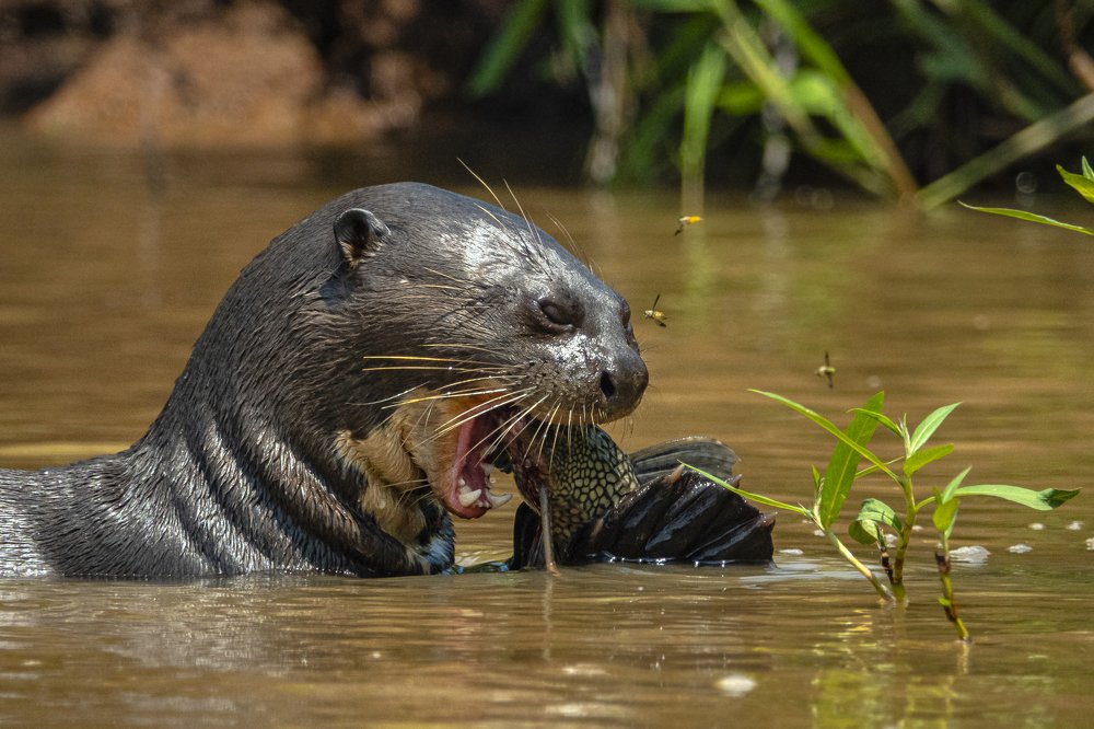 Photograph by Александр Маркелов