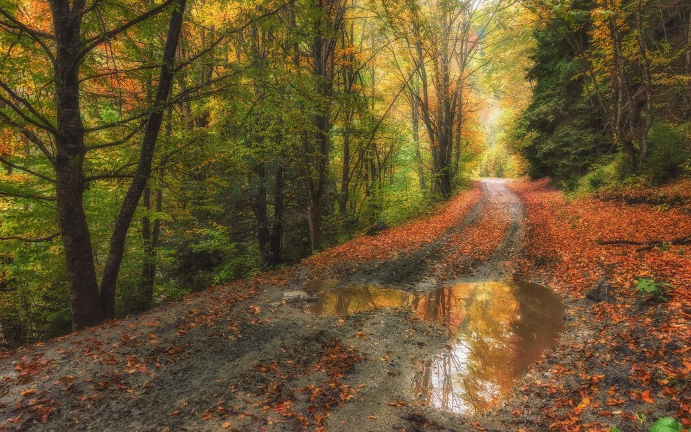 Осенней дорожкой...