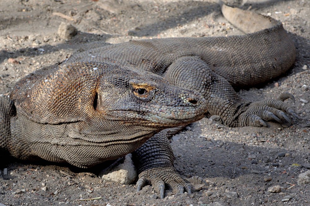 Photograph by Мария Карюхина